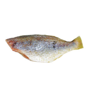 PEIXE CASTANHA EVISCERADA