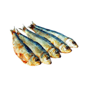 PEIXE SARDINHA SALGADA