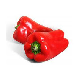 PIMENTÃO VERMELHO