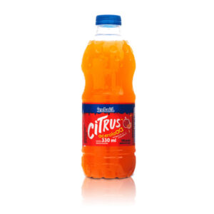 BEBIDA MISTA INDAIA CIT. LARANJA 330ml
